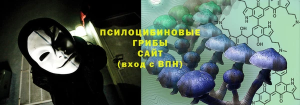 первитин Абинск