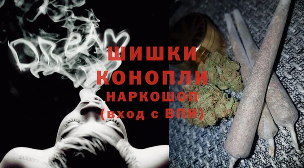 спиды Семёнов