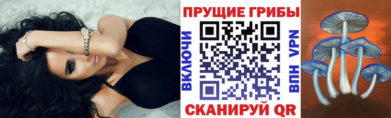 Галлюциногенные грибы мицелий  ОМГ ОМГ ссылка  Духовщина  продажа наркотиков 